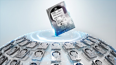 WD Ae Archive  2